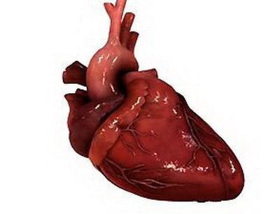 Угнетение функции сердца