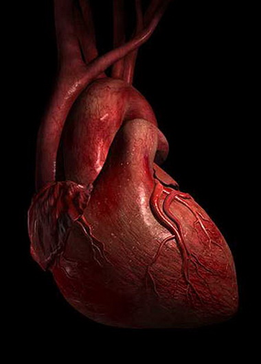 Снижение артериального давления после начала ИВЛ